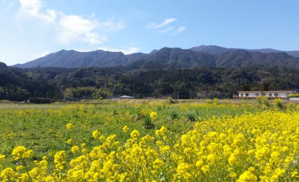 高隈レポート写真